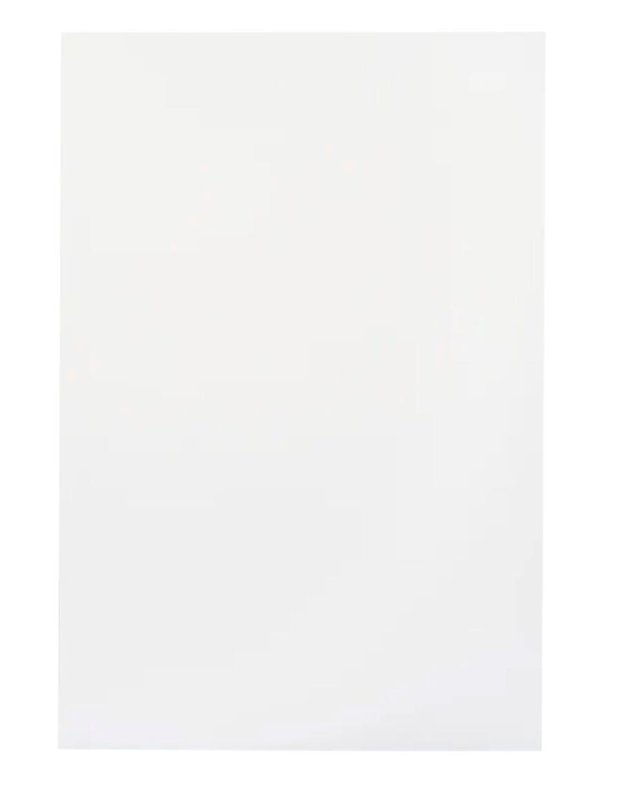 School Smart Bristol Board, 22-1/2 x 28-1/2 Inches, 100 lb. Basis Weight, White, Pack of 100 085569